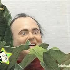 BUSHESbushes