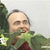 BUSHESbushes